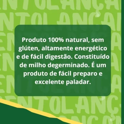 Banner do produto Flocão de Milho GMO Free Bonomilho 500g ressaltando suas qualidades