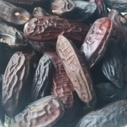 Cumarú Fava Tonka vista de perto
